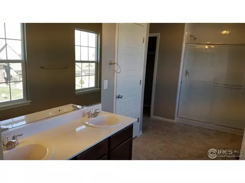 2280 Stonefish Dr, Windsor, CO 80550 photo 14