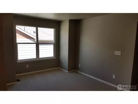 2280 Stonefish Dr, Windsor, CO 80550 photo 9