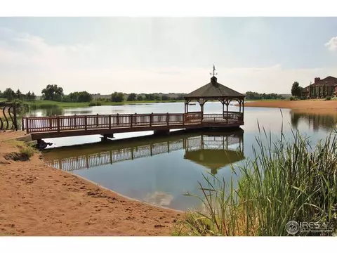 2280 Stonefish Dr, Windsor, CO 80550 photo 21