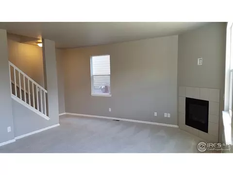 2280 Stonefish Dr, Windsor, CO 80550 photo 2