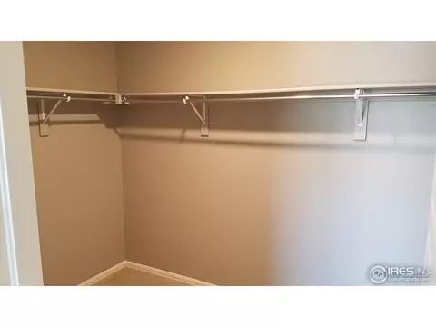 2280 Stonefish Dr, Windsor, CO 80550 photo 10