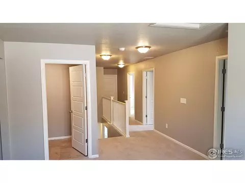 2280 Stonefish Dr, Windsor, CO 80550 photo 13