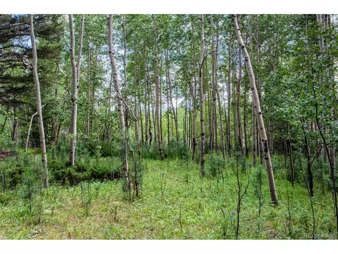30539 Rand Rd, Conifer, CO 80433 photo 34
