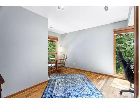 30539 Rand Rd, Conifer, CO 80433 photo 18