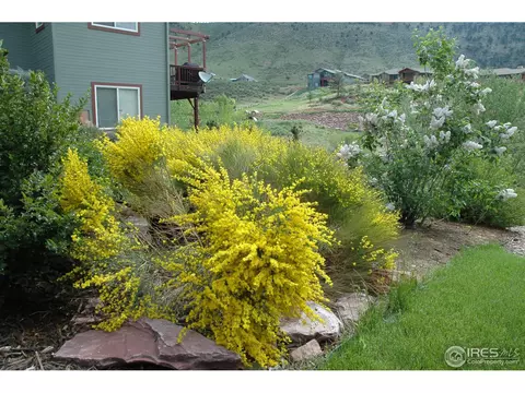 1016 Steamboat Valley Rd, Lyons, CO 80540 photo 32