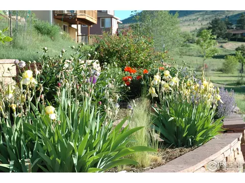 1016 Steamboat Valley Rd, Lyons, CO 80540 photo 29