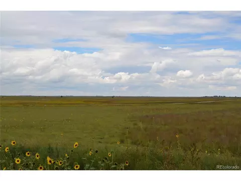 7 County Rd V, Rush, CO 80833 photo 6