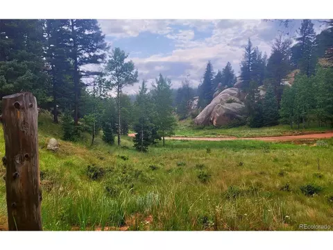 30 Spruce Cir, Florissant, CO 80816