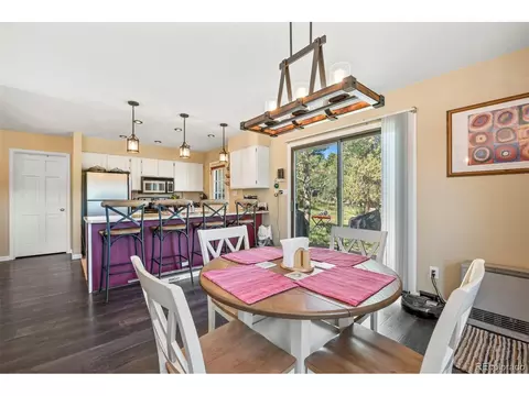 69 Saddlestring Rd, Bailey, CO 80421 photo 10
