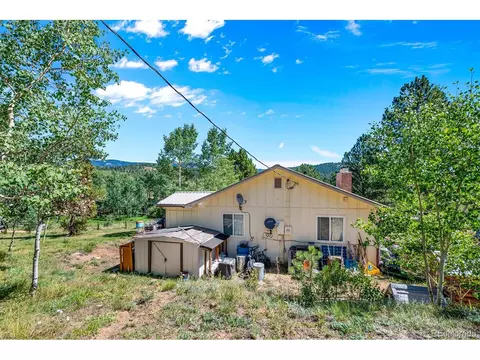 69 Saddlestring Rd, Bailey, CO 80421 photo 23