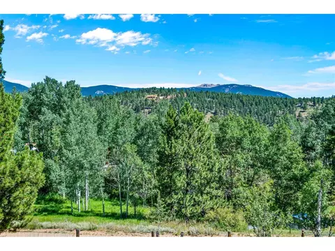 69 Saddlestring Rd, Bailey, CO 80421 photo 28
