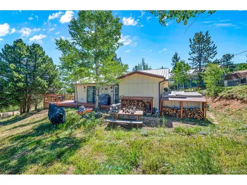 69 Saddlestring Rd, Bailey, CO 80421 photo 21
