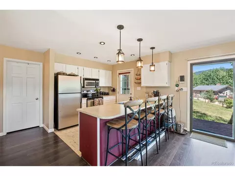 69 Saddlestring Rd, Bailey, CO 80421 photo 11