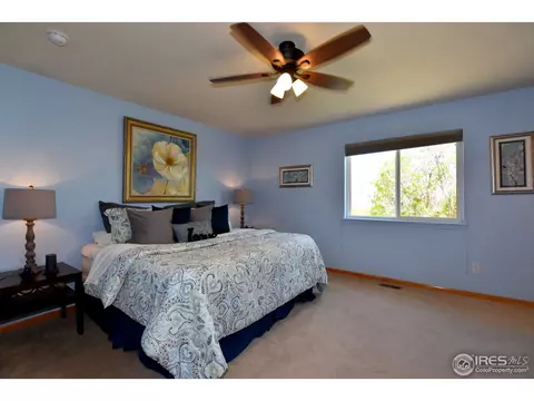 802 Cameron Dr, Severance, CO 80550 photo 11