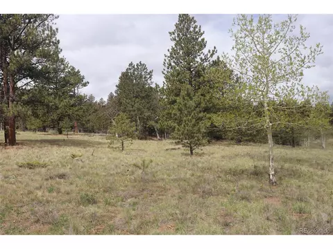 1553 Windmill Dr, Hartsel, CO 80449