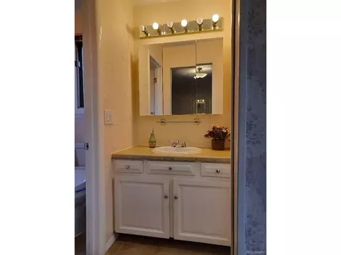 8437 Chase Dr, Arvada, CO 80003 photo 20