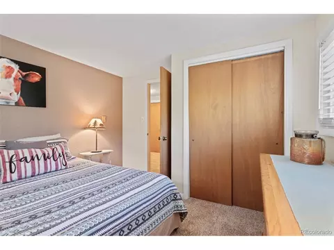 35 Phantom Creek Trl, Bailey, CO 80421 photo 17