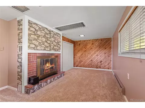 35 Phantom Creek Trl, Bailey, CO 80421 photo 15