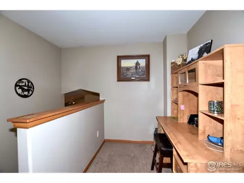 212 Eagle Ave, Mead, CO 80542 photo 16