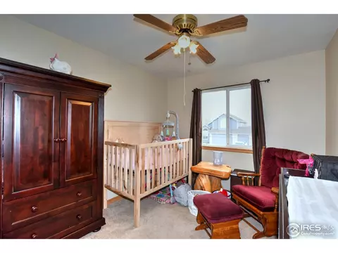 212 Eagle Ave, Mead, CO 80542 photo 27