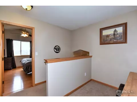 212 Eagle Ave, Mead, CO 80542 photo 17