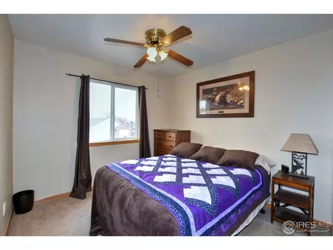 212 Eagle Ave, Mead, CO 80542 photo 28