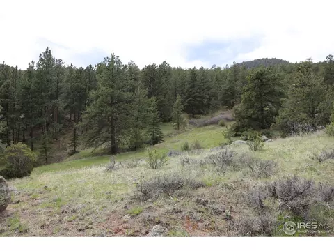 12850 N Saint Vrain Dr, Lyons, CO 80540 photo 9