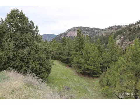 12850 N Saint Vrain Dr, Lyons, CO 80540 photo 14
