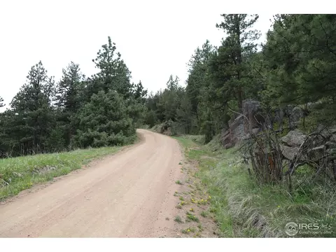 12850 N Saint Vrain Dr, Lyons, CO 80540 photo 13