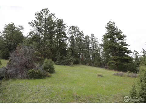 12850 N Saint Vrain Dr, Lyons, CO 80540 photo 12