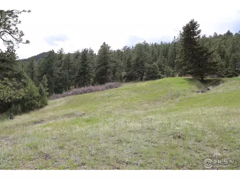 12850 N Saint Vrain Dr, Lyons, CO 80540 photo 5