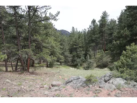 12850 N Saint Vrain Dr, Lyons, CO 80540 photo 11