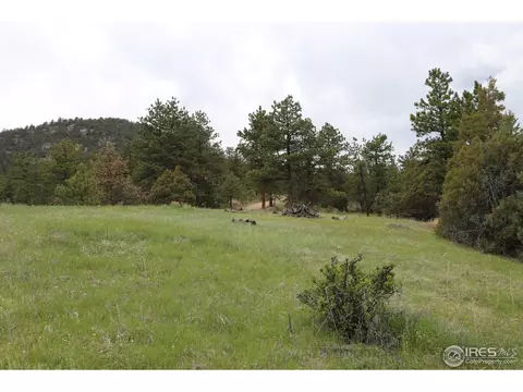 12850 N Saint Vrain Dr, Lyons, CO 80540 photo 16