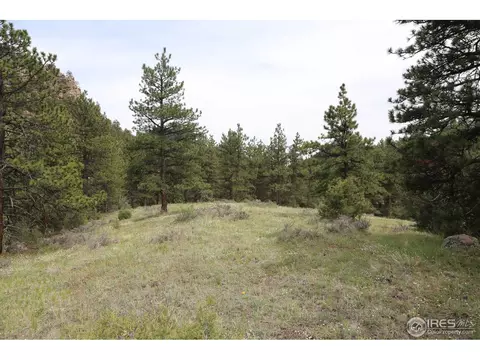 12850 N Saint Vrain Dr, Lyons, CO 80540 photo 8