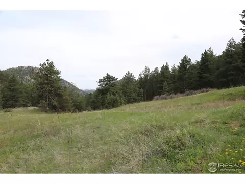 12850 N Saint Vrain Dr, Lyons, CO 80540 photo 4