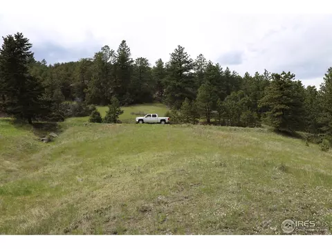 12850 N Saint Vrain Dr, Lyons, CO 80540 photo 7