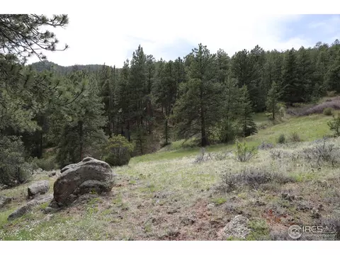 12850 N Saint Vrain Dr, Lyons, CO 80540 photo 10