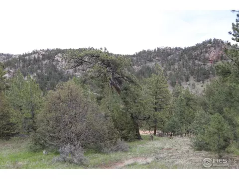 12850 N Saint Vrain Dr, Lyons, CO 80540 photo 15
