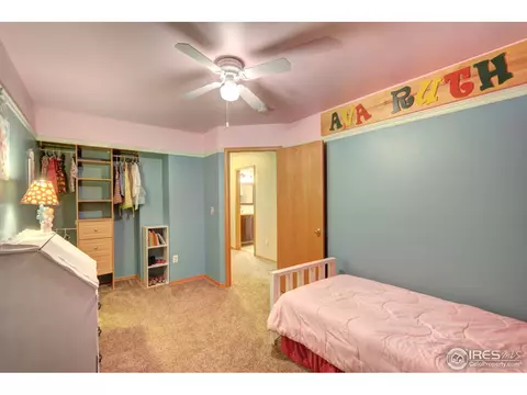 405 Lakeview Dr, Severance, CO 80550 photo 23
