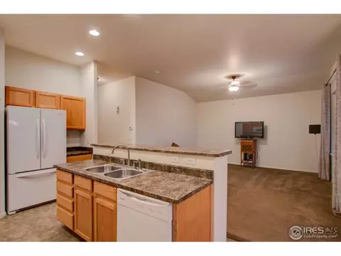 384 Shadowbrook Dr, Windsor, CO 80550 photo 13