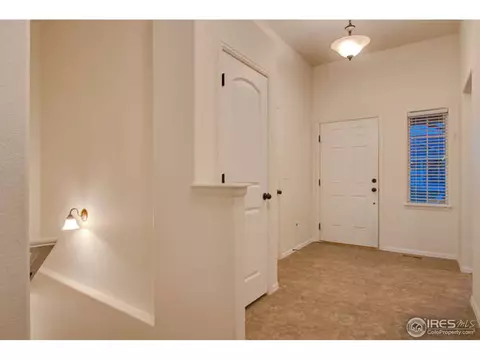 384 Shadowbrook Dr, Windsor, CO 80550 photo 9