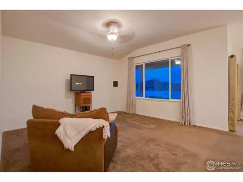 384 Shadowbrook Dr, Windsor, CO 80550 photo 11