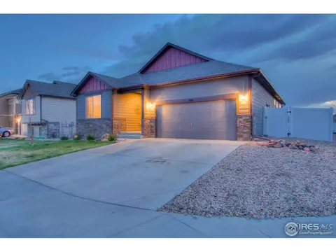 384 Shadowbrook Dr, Windsor, CO 80550 photo 28