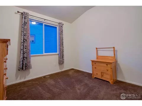384 Shadowbrook Dr, Windsor, CO 80550 photo 25