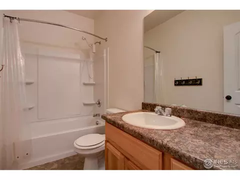 384 Shadowbrook Dr, Windsor, CO 80550 photo 23