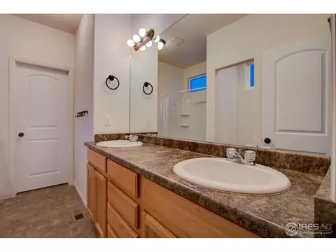 384 Shadowbrook Dr, Windsor, CO 80550 photo 20