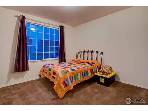 384 Shadowbrook Dr, Windsor, CO 80550 photo 24
