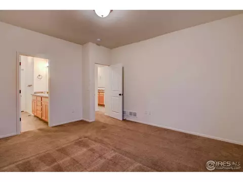 384 Shadowbrook Dr, Windsor, CO 80550 photo 21