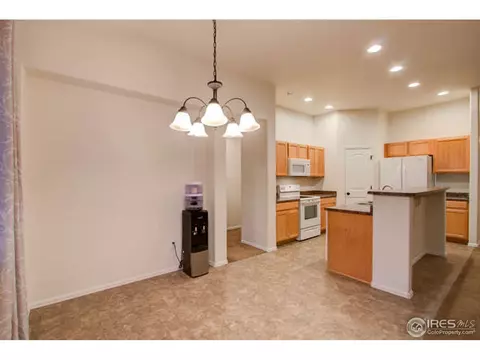 384 Shadowbrook Dr, Windsor, CO 80550 photo 18