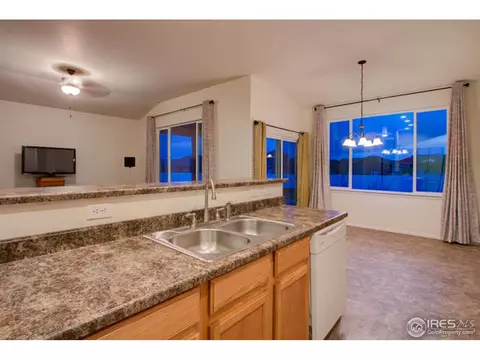 384 Shadowbrook Dr, Windsor, CO 80550 photo 15